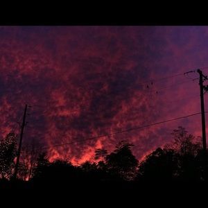 Meet your Posher, Sandy